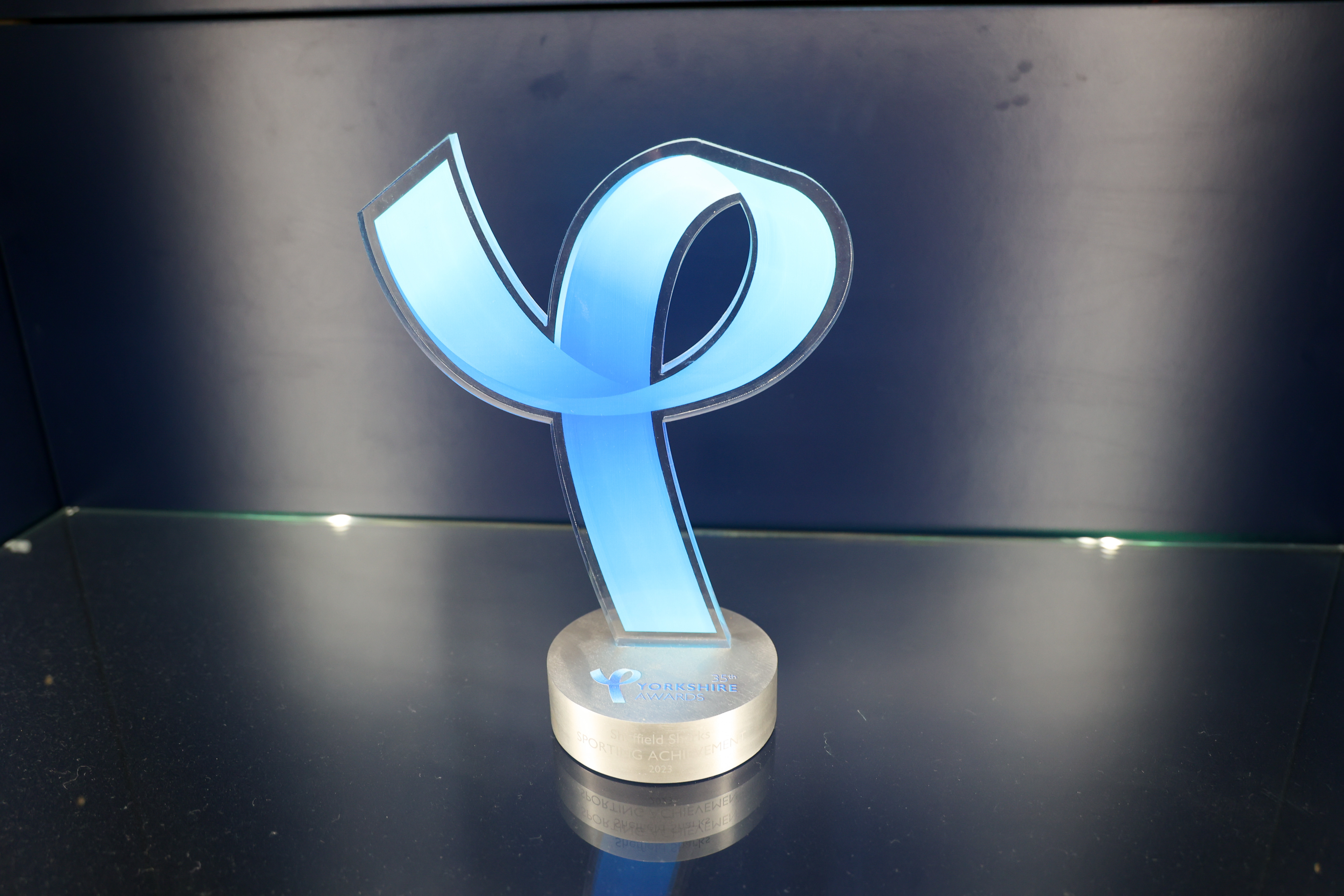35th Yorkshire Awards - Sporting Achievement